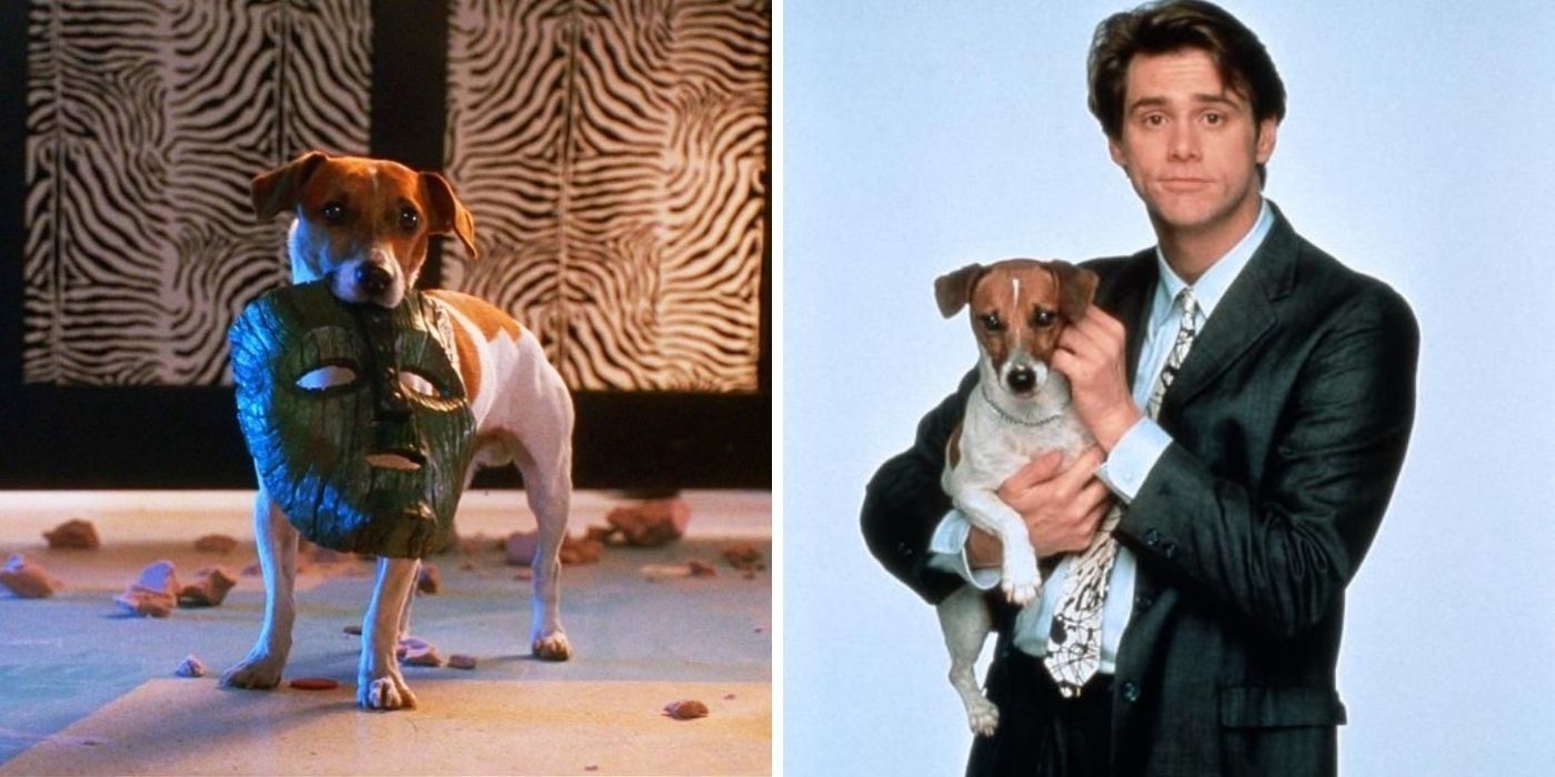 Whatever Happened To Jim Carrey's Dog From 'The Mask'?