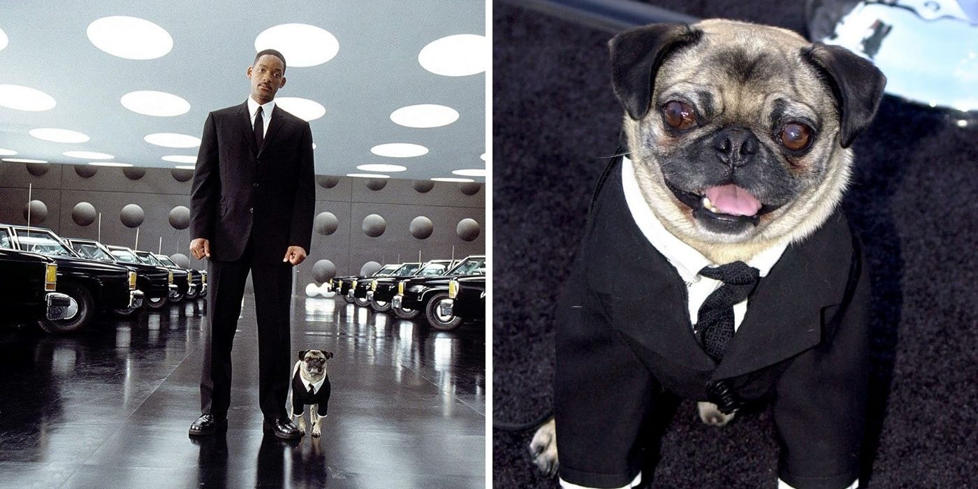 Will Smith and Mushu as Agent J and Frank in 'Men in Black' - Mushu the pug as Frank