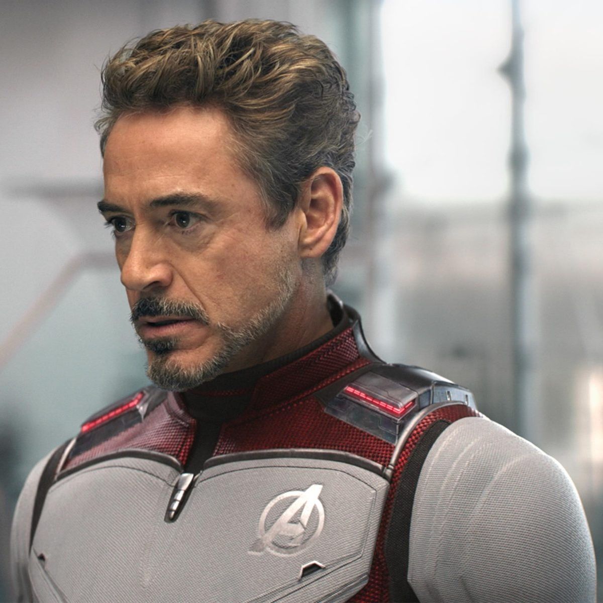 Downey Jr. has also rehabilitated his career, taking on massively successful roles in film.