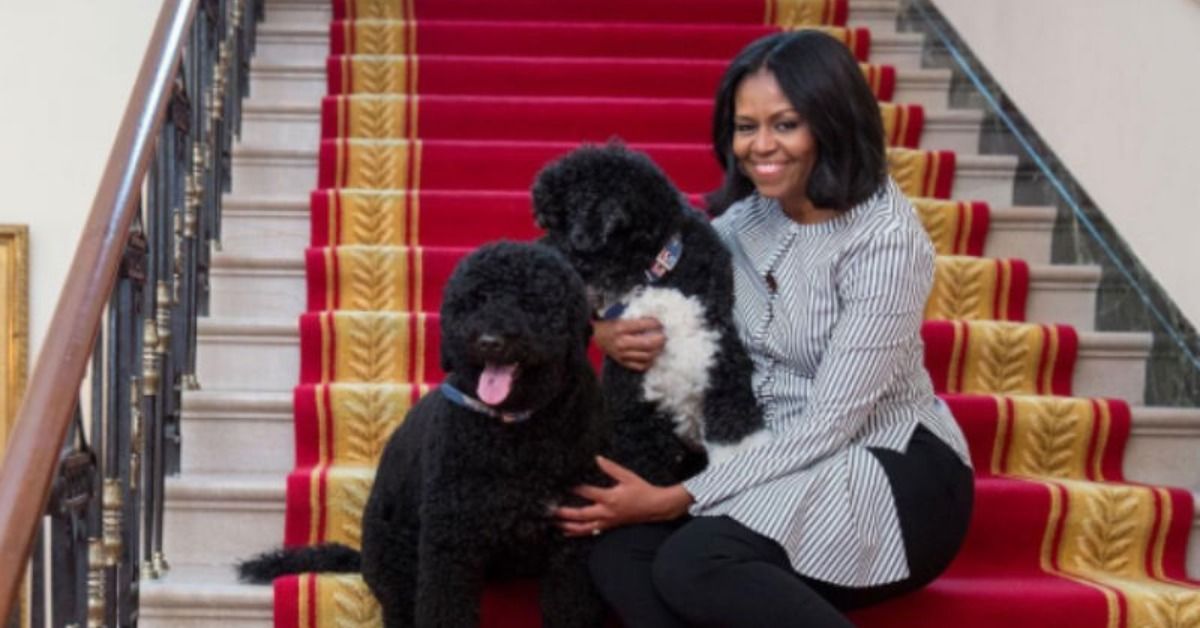 Michelle Obama and her dogs Sunny and Bo