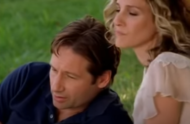 David Duchovny in an episode of Sex and the City