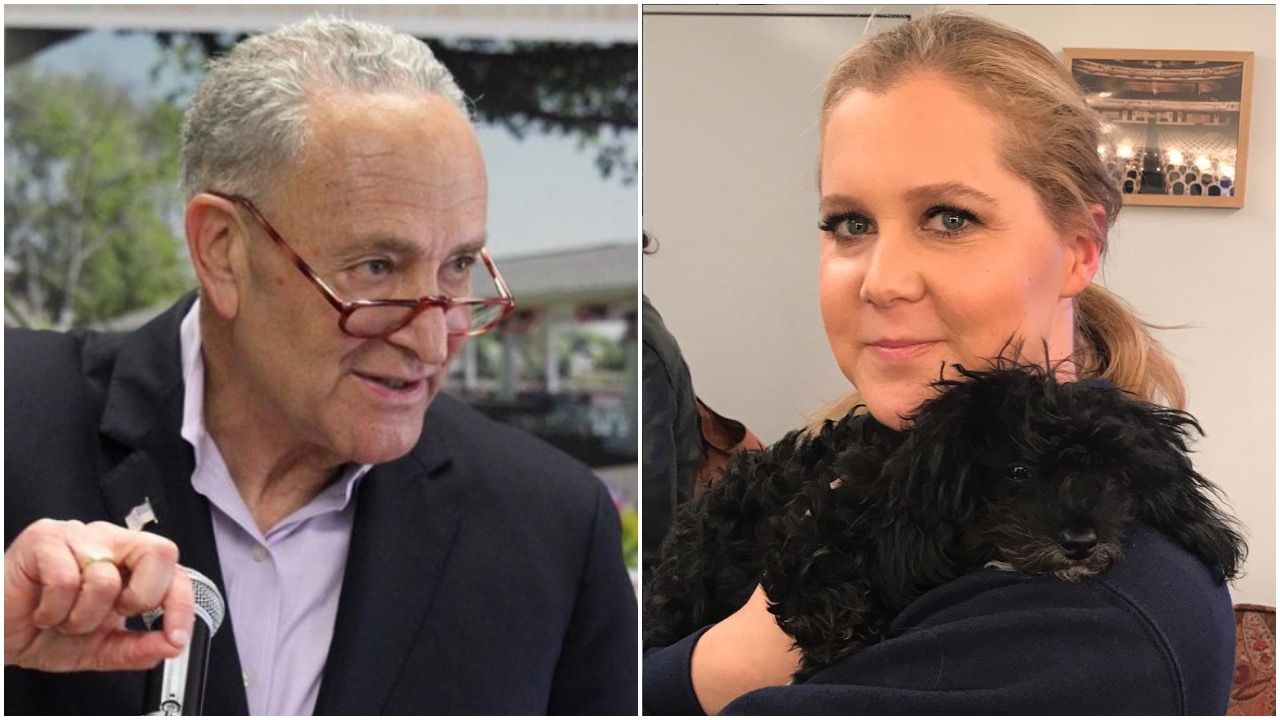 amy schumer and chuck schumer are related