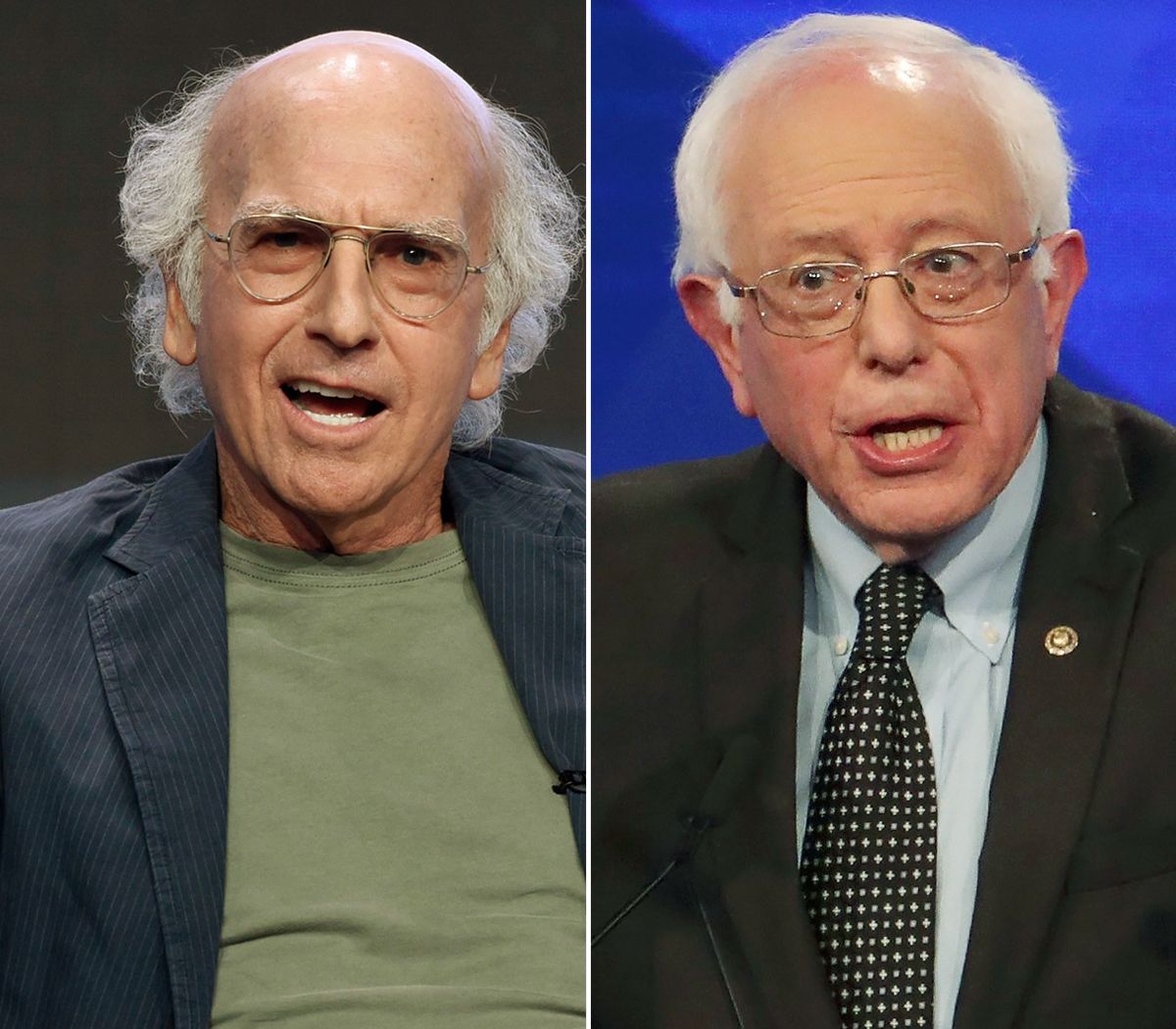 larry david and bernie sanders are related
