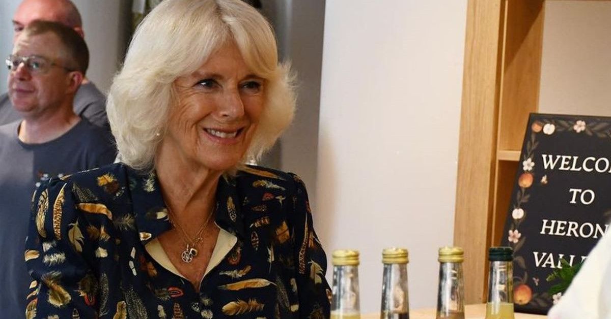 Was Camilla Parker Bowles' Life Really All That Different Before She ...