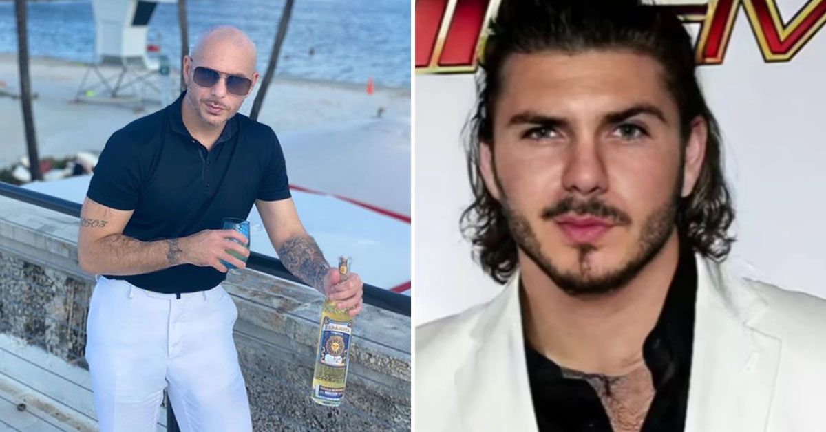 9 bald hard men that looked so much friendlier with hair  Mr Worldwide  goes from Pitbull to Poodle  The Sun