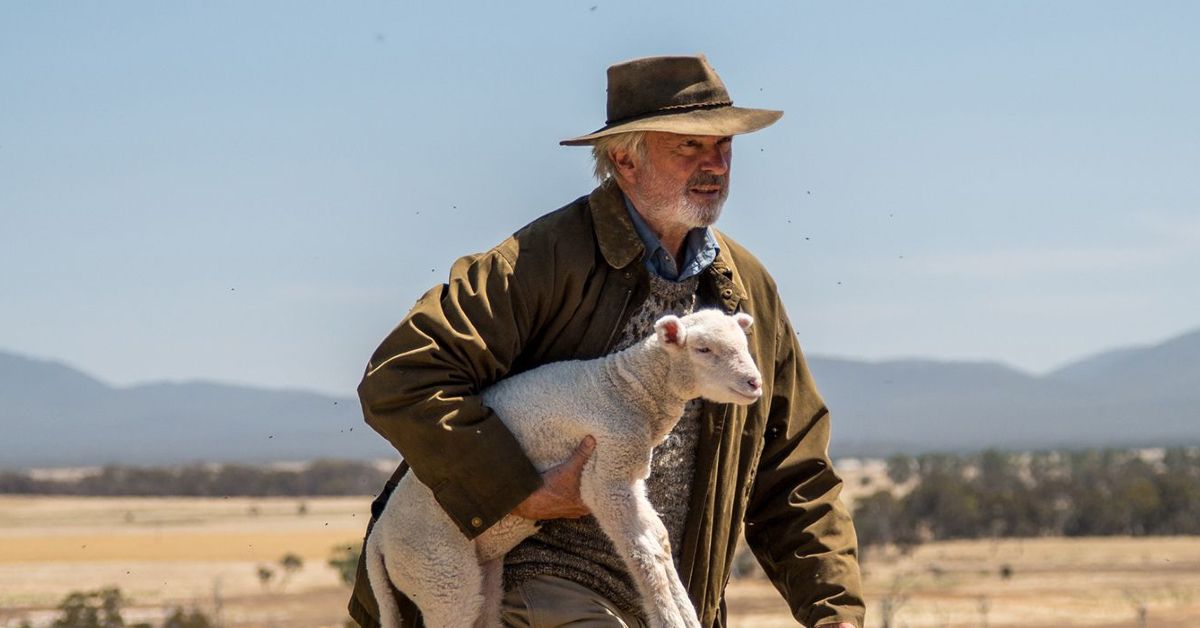 Sam Neill carries baby lamb in Rams (2020) movie.