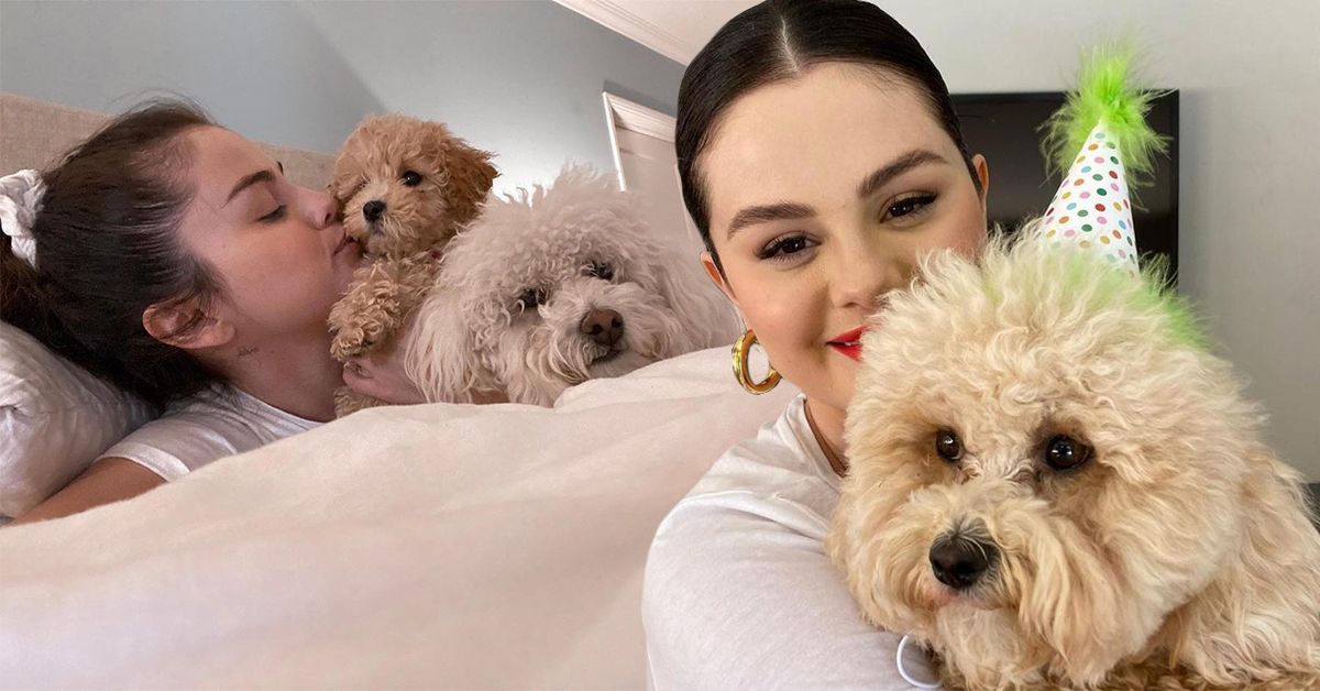 Actress and singer Selena Gomez with her dogs, Winnie and Daisy