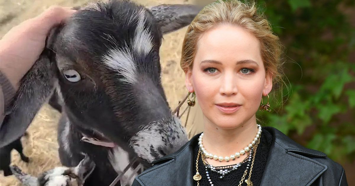 Jennifer Lawrence in a black leather practice (front), black goat getting pet on the head (back)