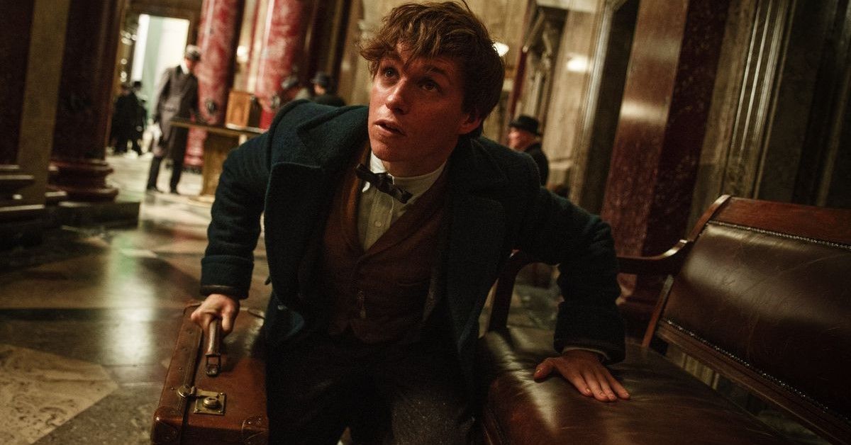 Eddie Redmayne as Newt Scamander in a still from the Fantastic Beasts franchise