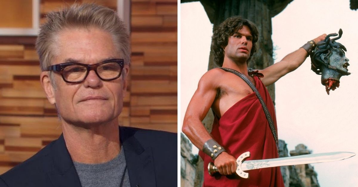 Harry Hamlin Lisa Rinna husband movie career