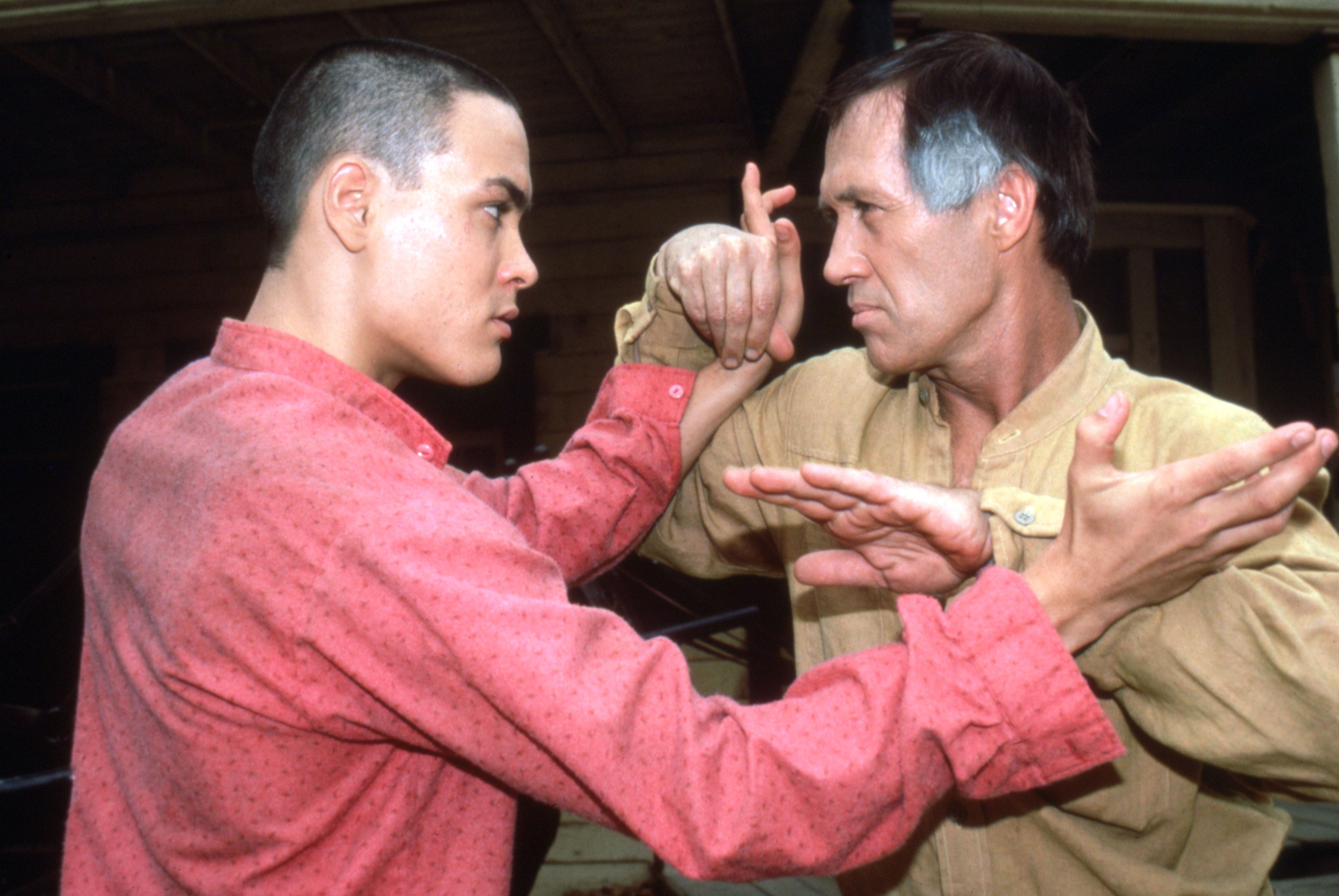 David Carradine doing kung fu