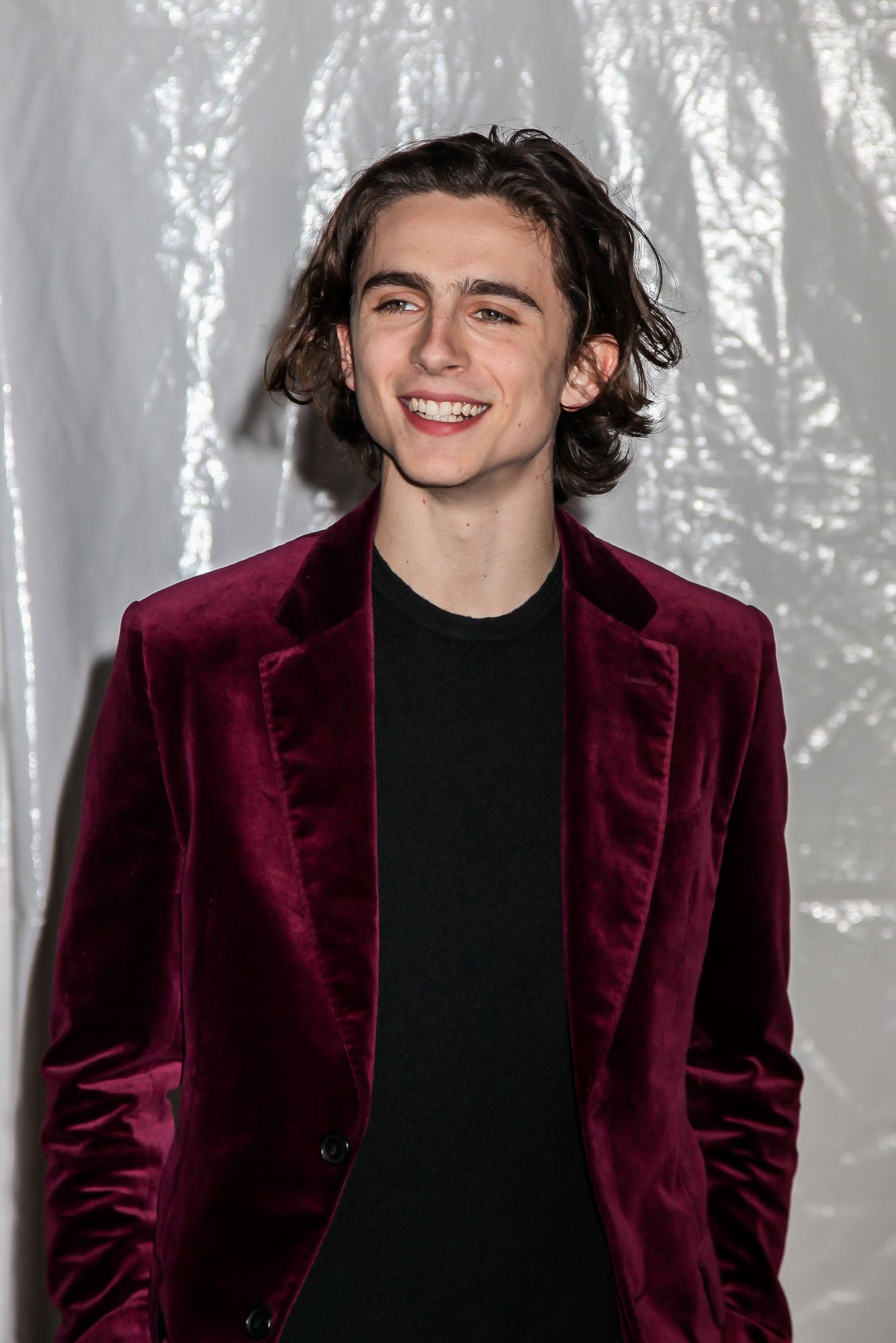 Timothée Chalamet's Highest Grossing Films, And How Much Money They ...