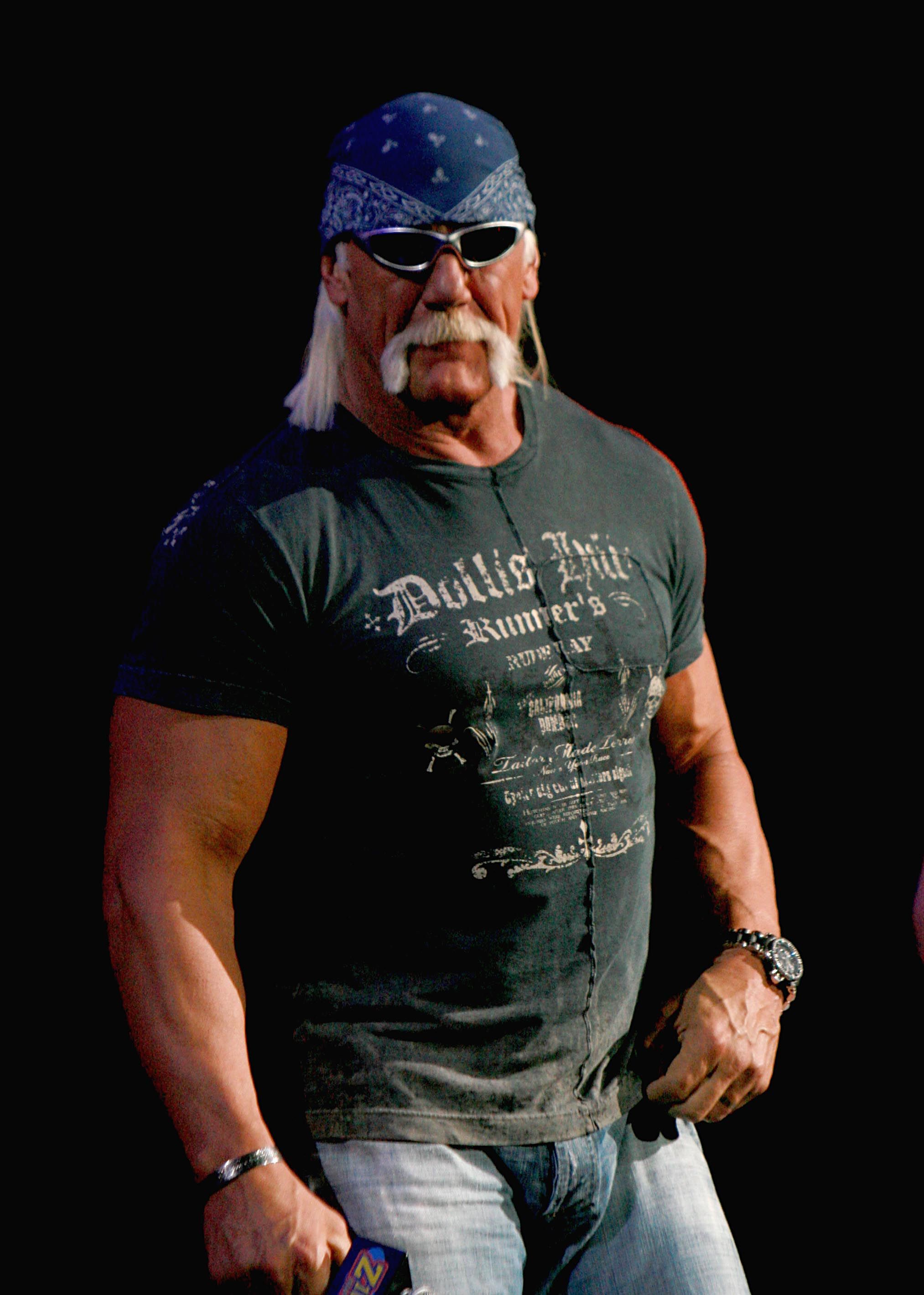 Hulk Hogan Got Fired From His Day Job After Appearing In A Sylvester