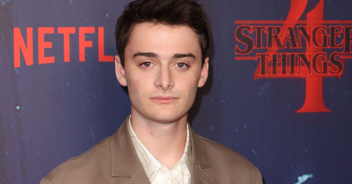 Noah Schnapp Has Been Nearly Canceled More Than Once In His Career