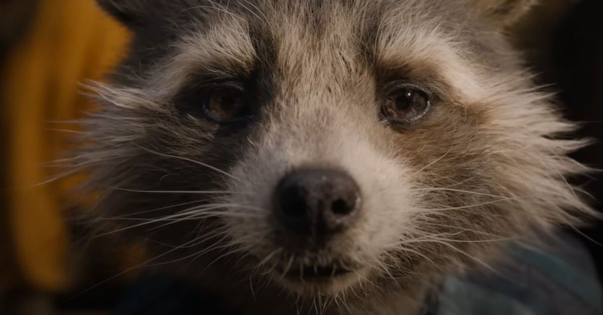 Rocket the Raccoon in a still from Guardians of the Galaxy Vol. 3 