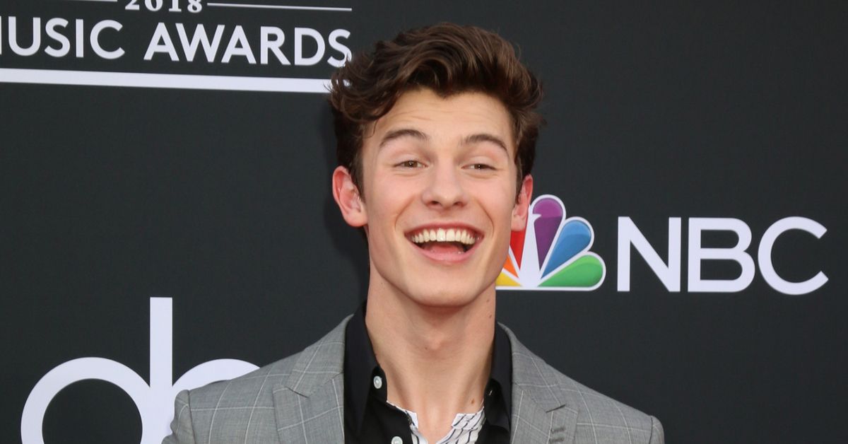 Shawn Mendes on the red carpet