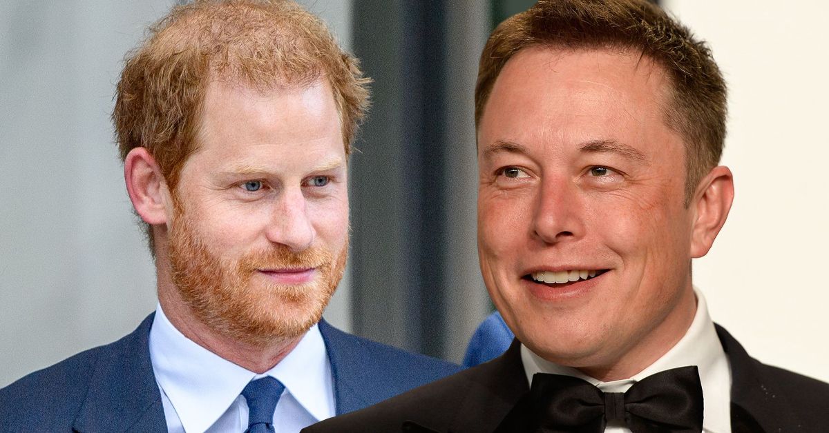 world radio s the news coach podcast suggested that elon musk and prince harry have a similar public persona
