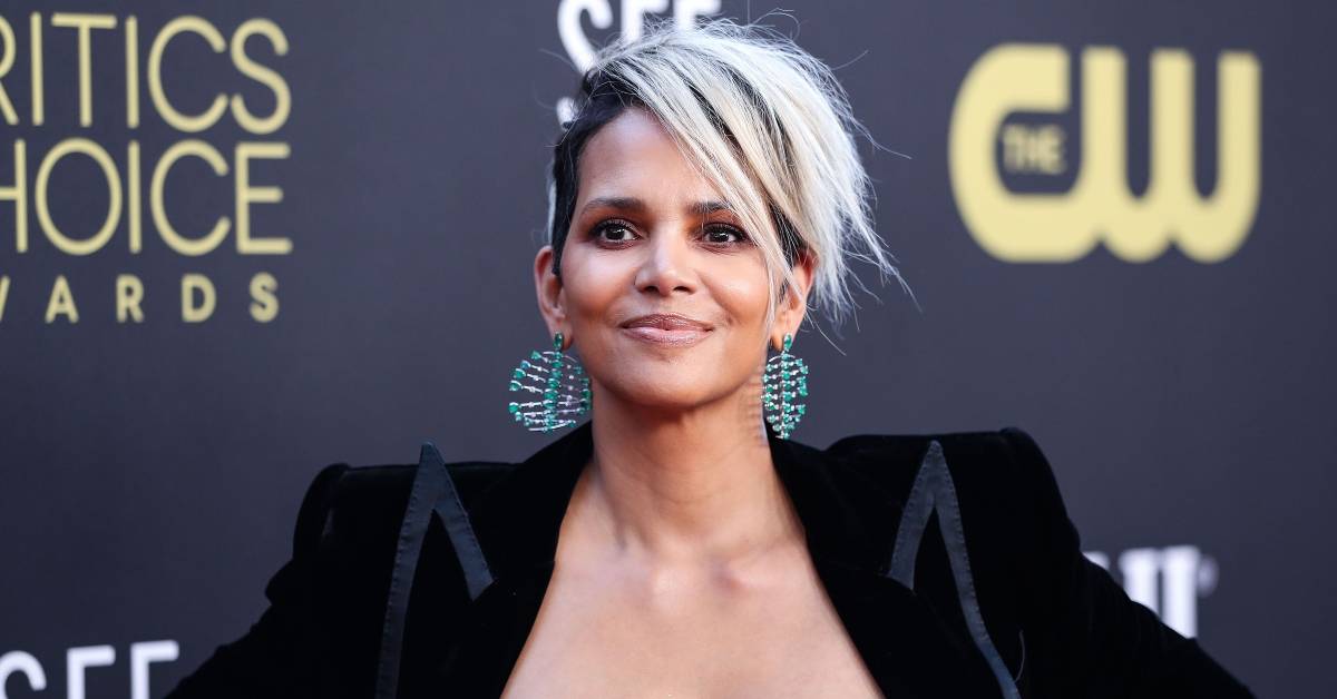 This Is Where Halle Berry's Pricey Custody Cases (With Two Exes) Stand ...