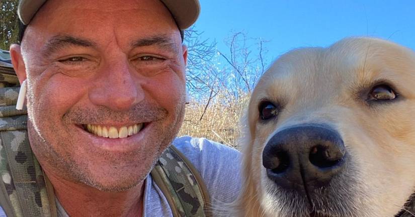 This Is What Joe Rogan's Podcast Is Really Like Behind The Scenes