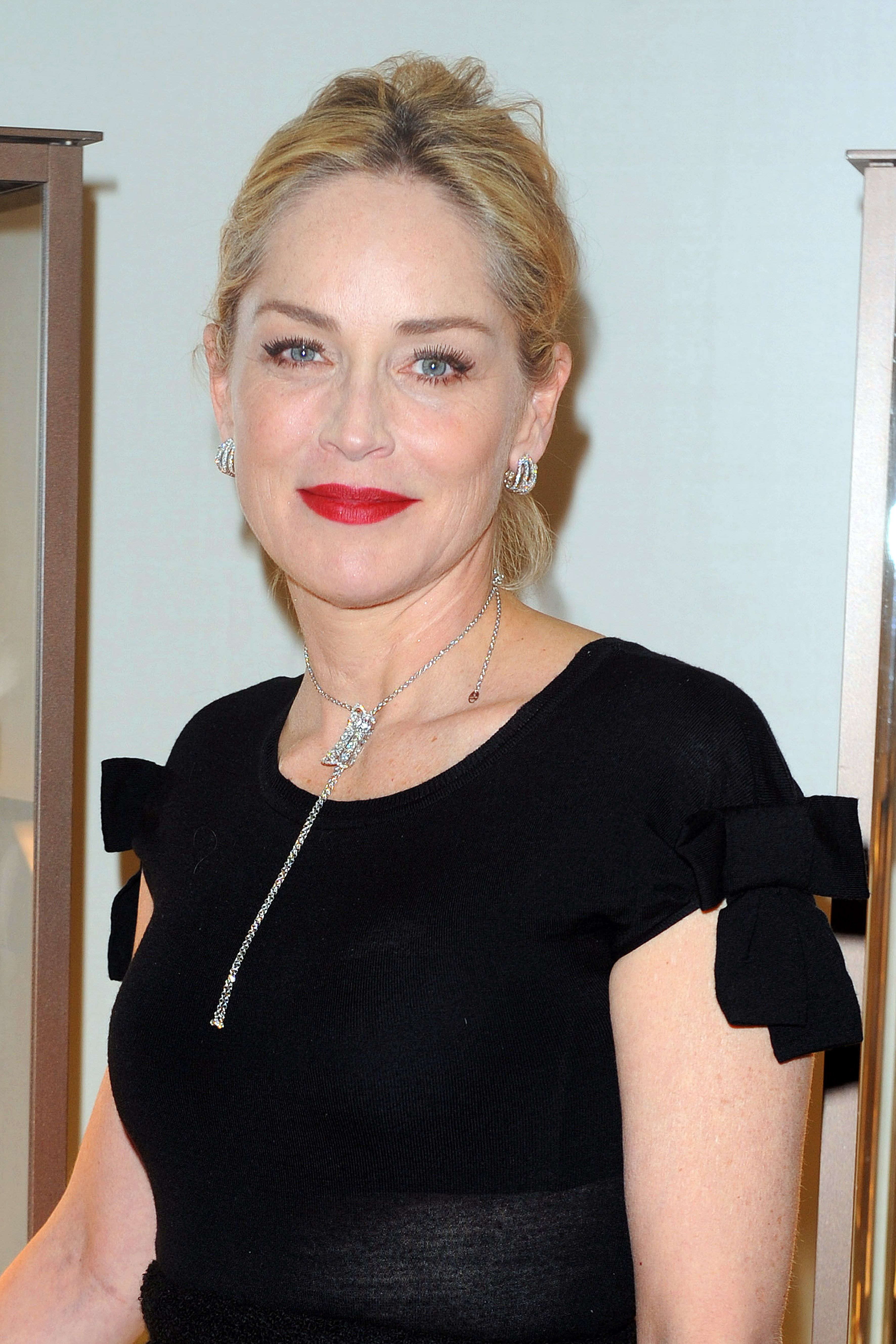 Sharon Stone TheThings