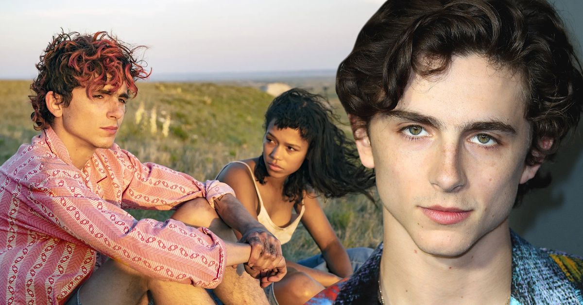 Did Timothee Chalamet Actually Date Taylor Russell_ Here's The Truth About Their Complicated And Mysterious Relationship