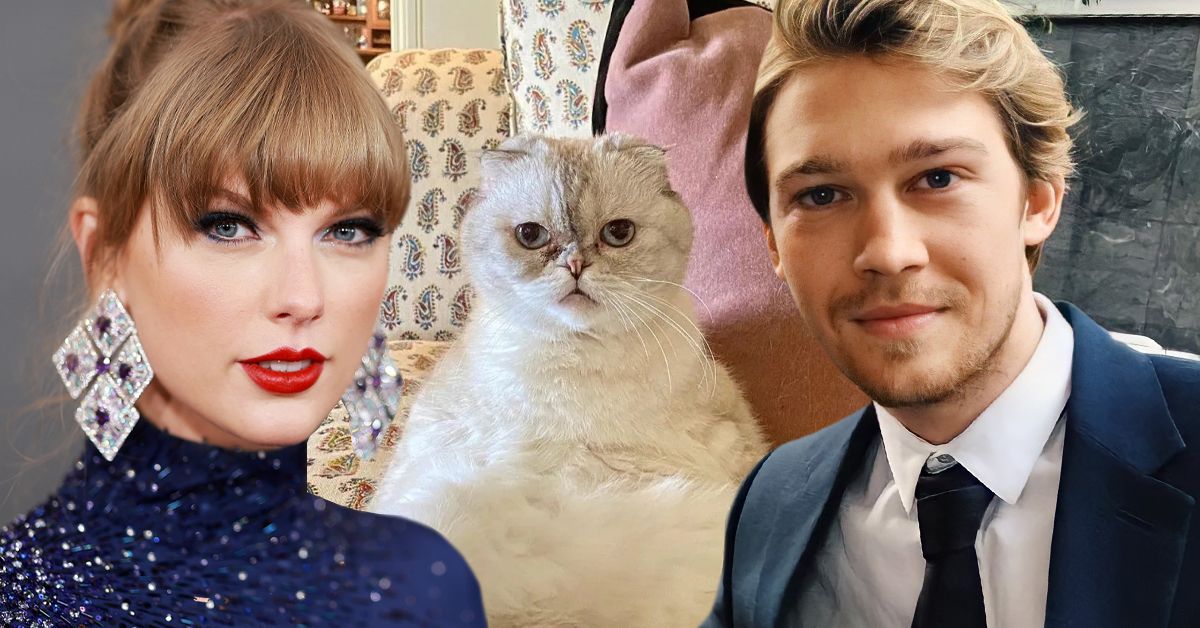 Do Taylor Swift's Cats Have A Higher Net Worth Than Her Ex