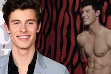 Shawn Mendes | TheThings