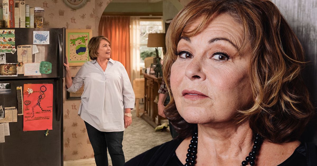 Did Roseanne Barr's Insane Salary On Her Sitcom Nearly Destory Her Television Career_ (