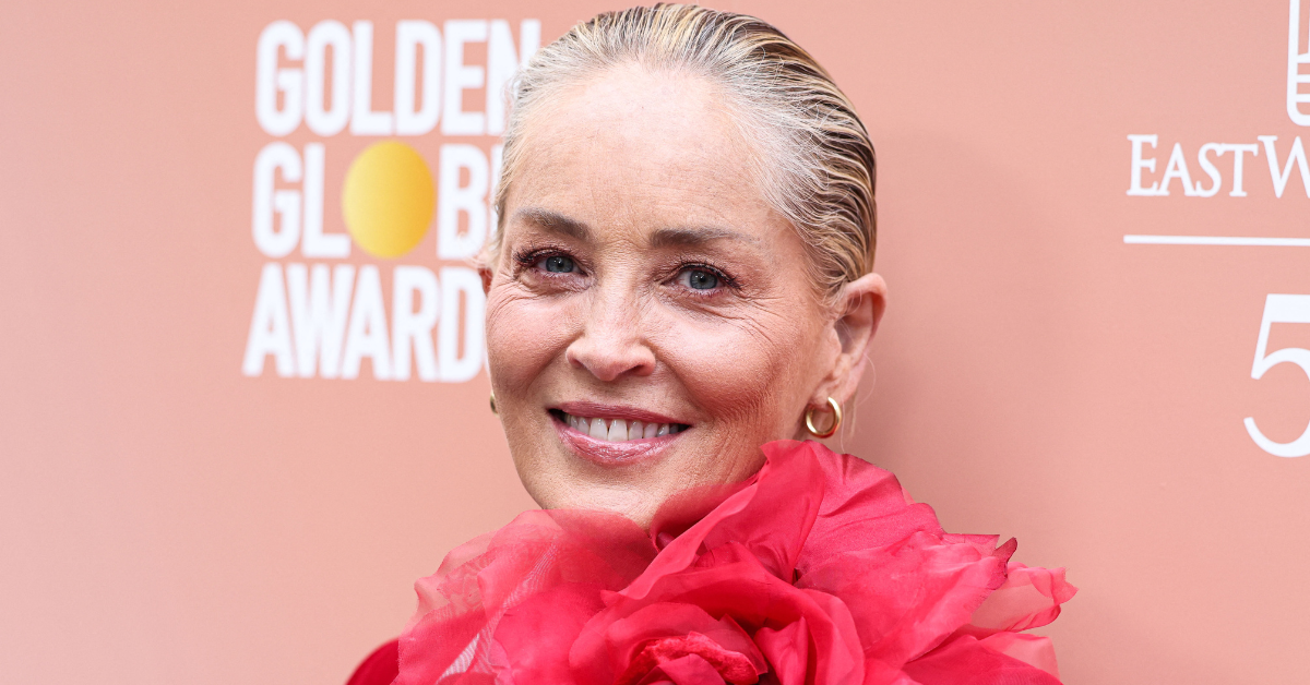 A Court Document Suggests Sharon Stone Banned Her Former Family Nanny ...