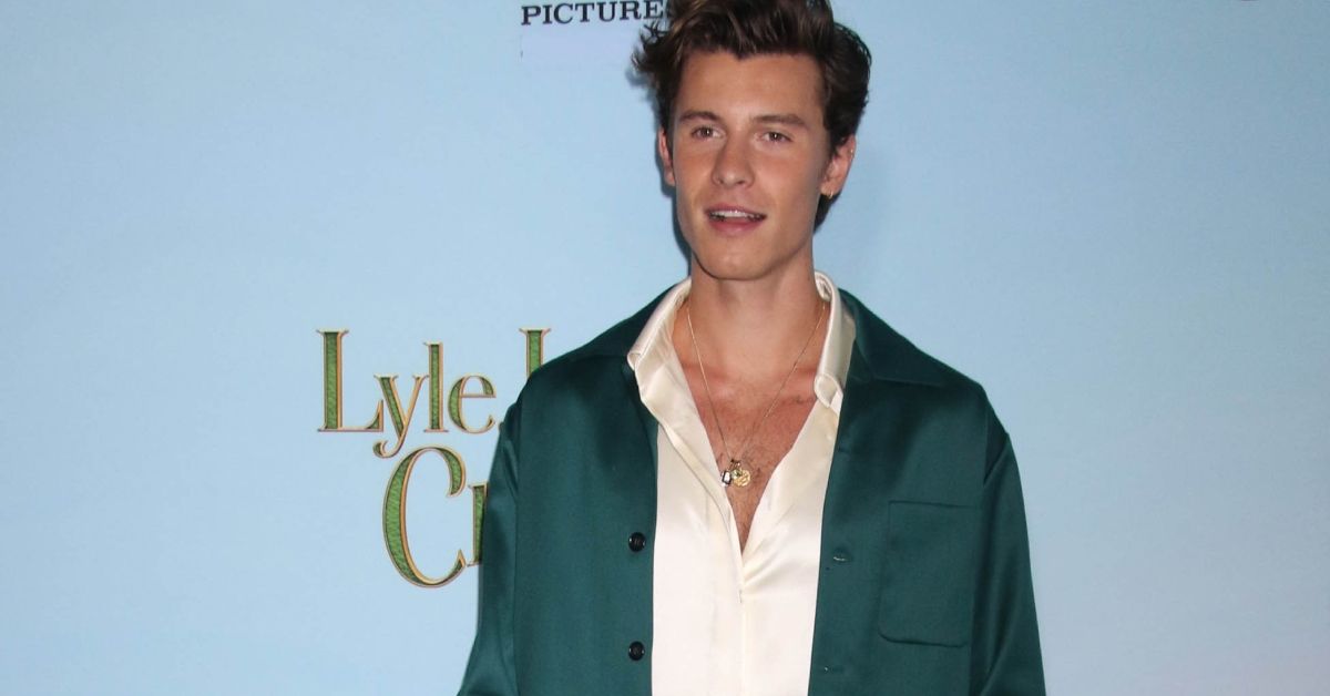 Shawn Mendes Has A Massive Net Worth Here's How Rich The Singer Really Is