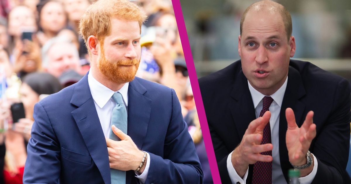 Did Prince Harry Really Make Fun Of Prince William's Hair Loss While Being Painted By A Professional Artist_ 