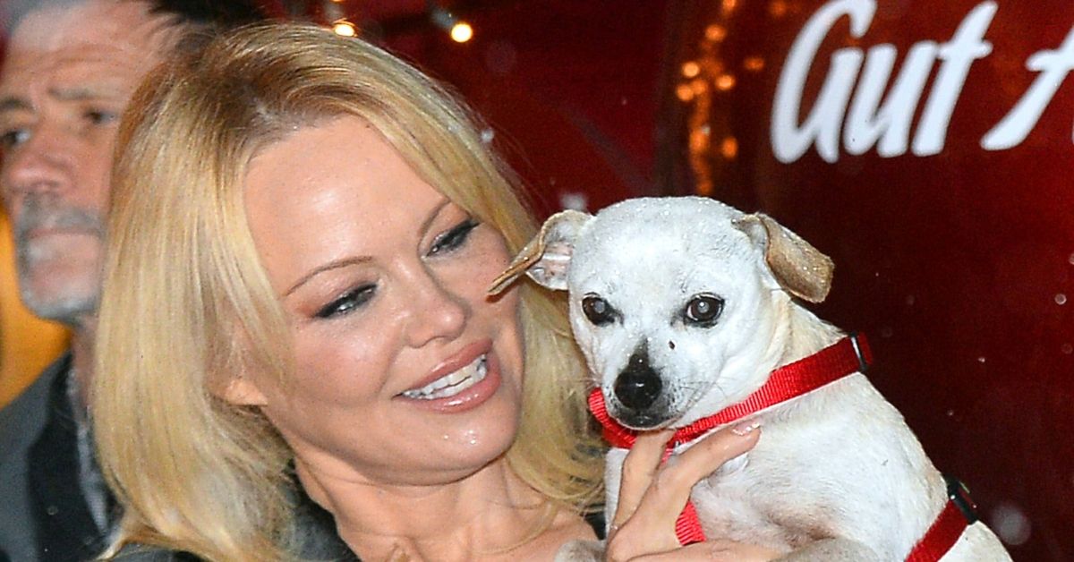 What Is Pamela Anderson Doing Now?