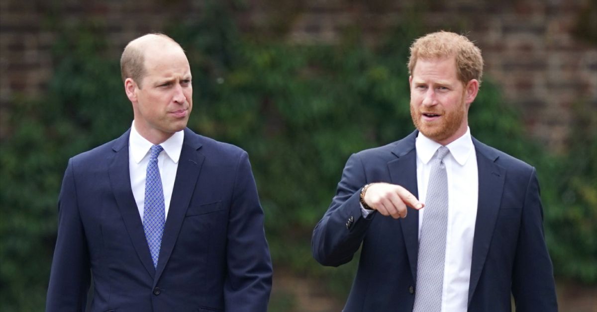 Prince Harry and Prince William looking annoyed