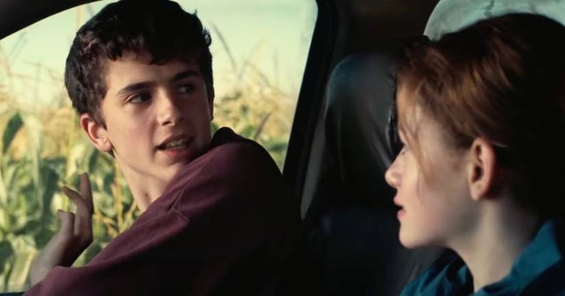 Tom Interstellar Actor Timothée Chalamet's Highest Grossing Films, And How Much Money They Made
