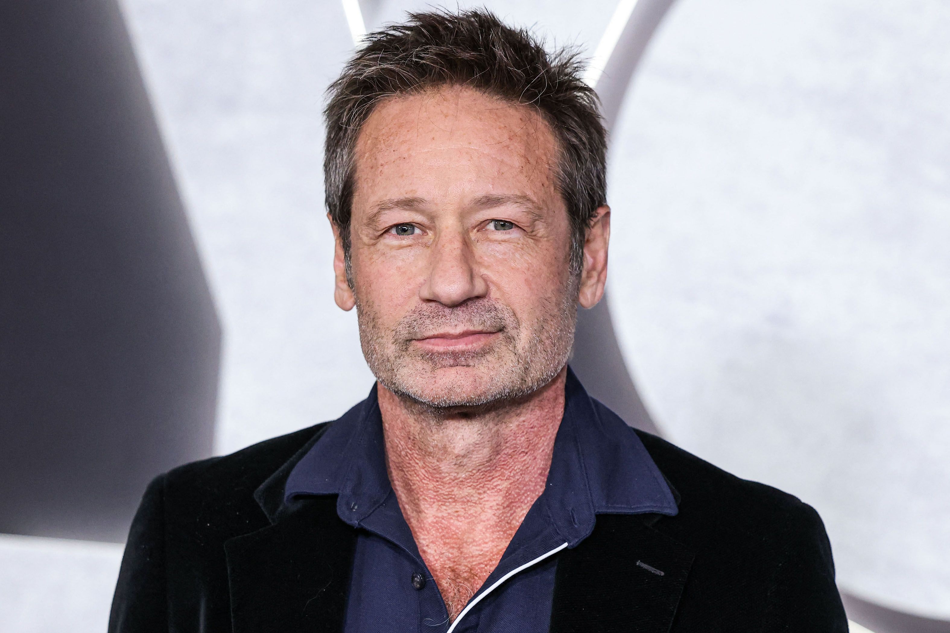 David Duchovny You People premiere