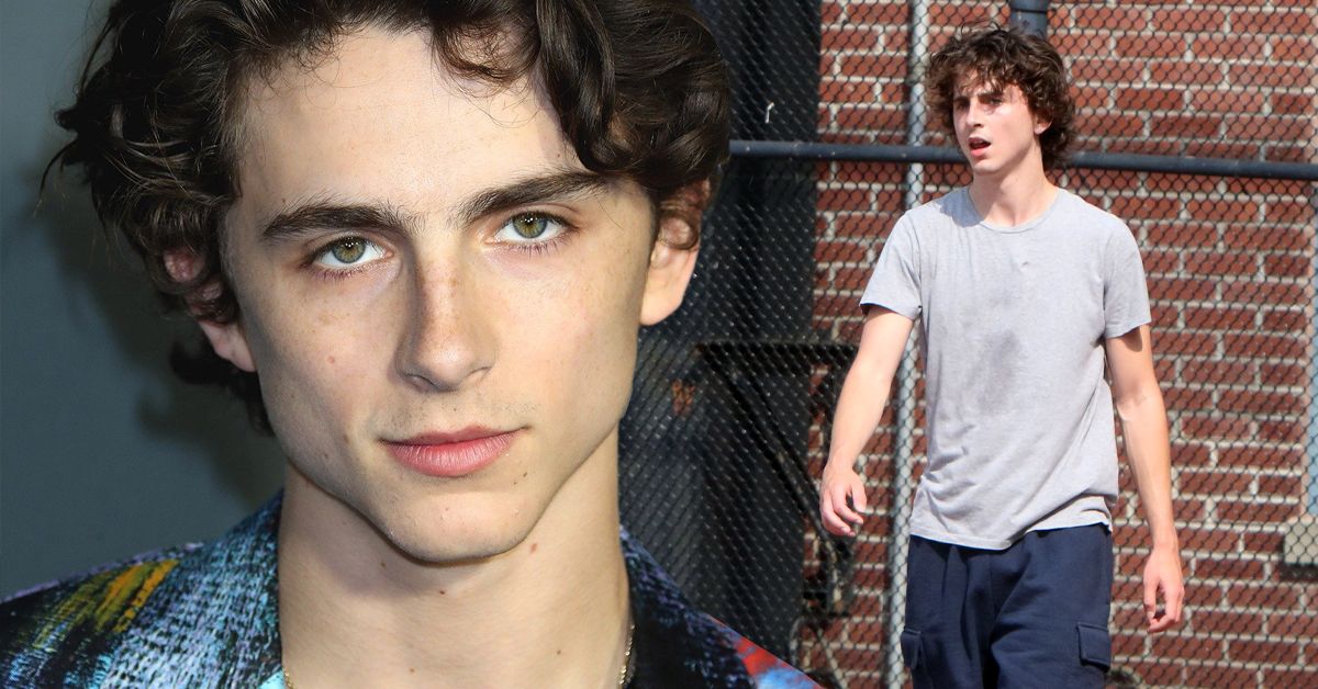 Has Timothee Chalamet Ever Tried To Pack On Muscle Or Does He Prefer Being The Skinny Actor_ 