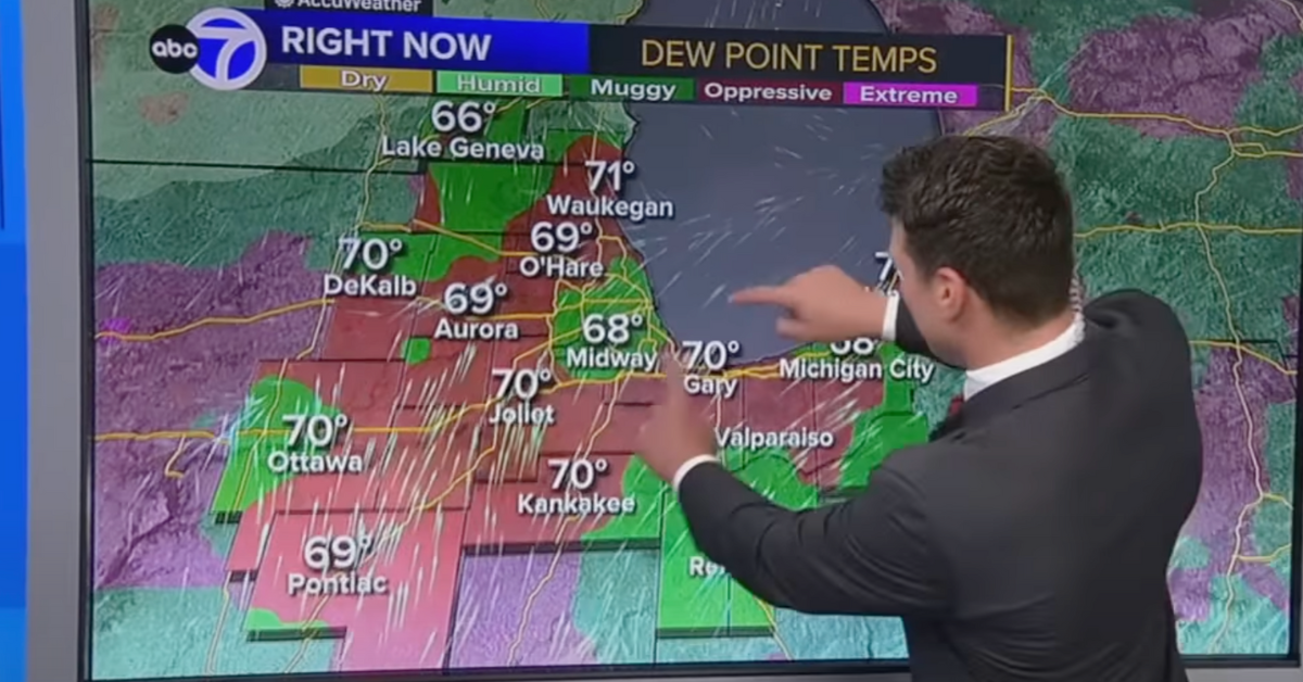 ABC's Weatherman Went Off-Script And Had The Most Wholesome Reaction To ...