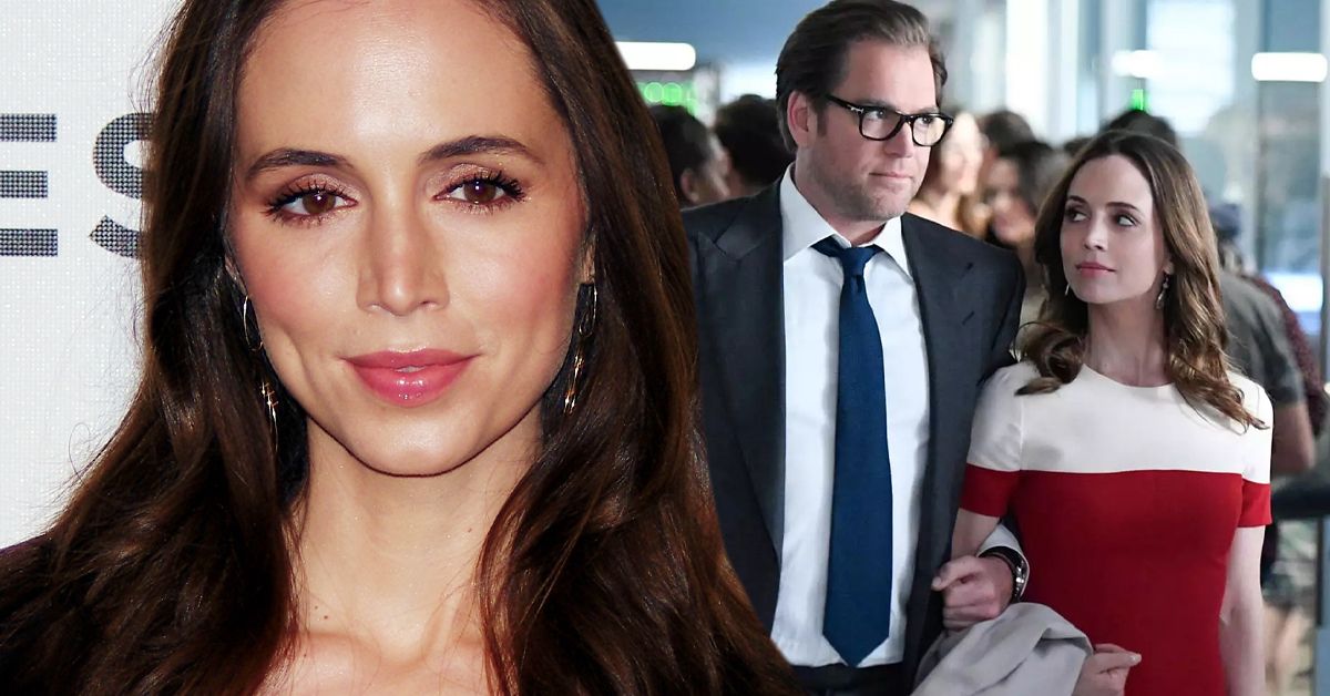 Did Eliza Dushku's Accusations Against Michael Weatherly Cause Her To Quit Acting And Leave Hollywood Forever_