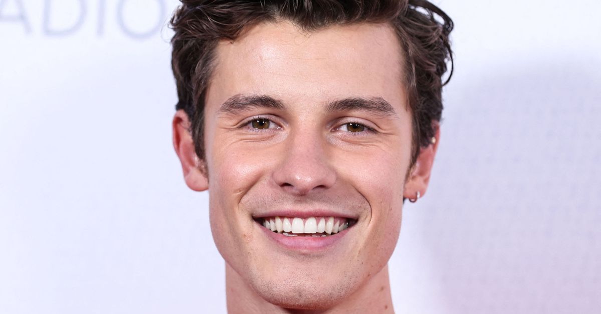 shawn mendes (2)