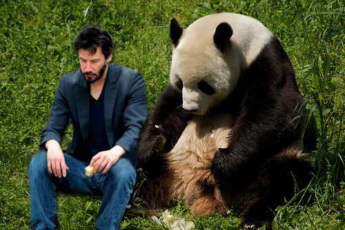 "Sad Keanu" and a panda meme