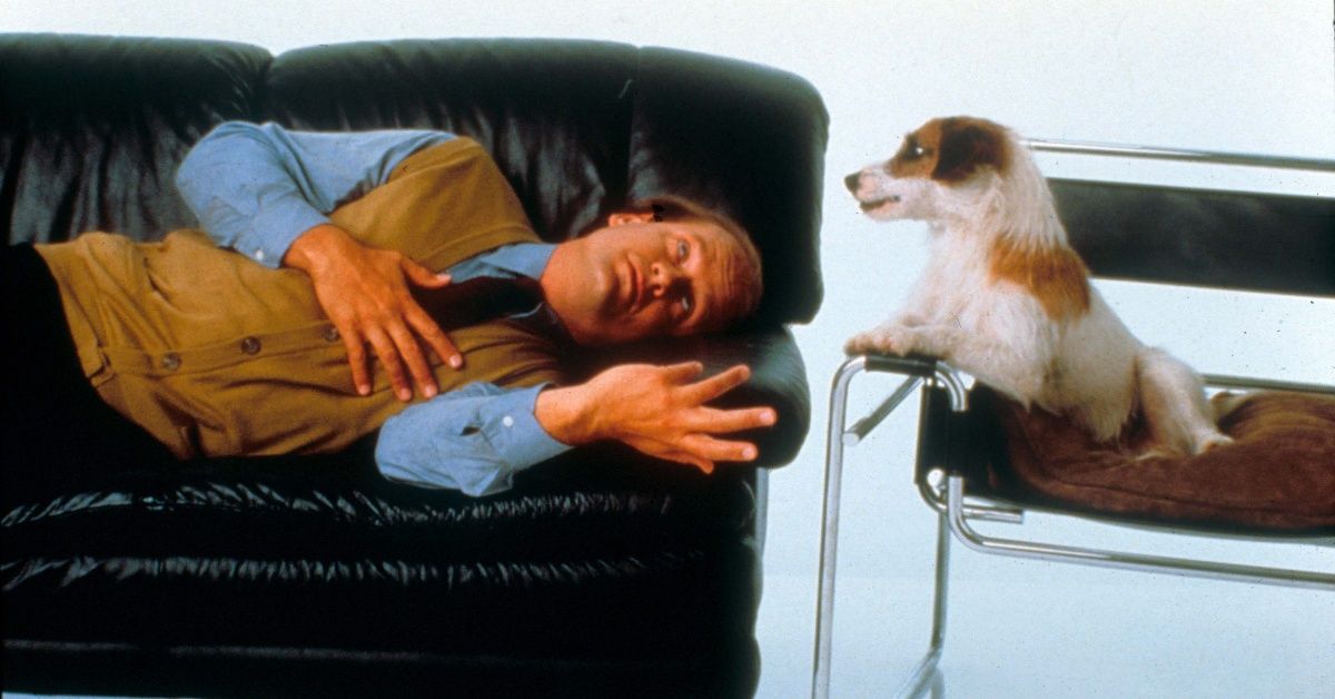 The Dog On Frasier Made An Absolute Fortune, Here's What Happened To ...