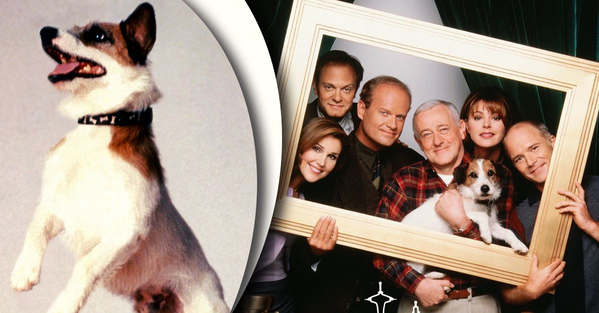 The dog from Frasier with the cast 