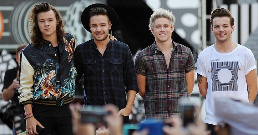 These One Direction Members Only Became Friends With Each Other After ...
