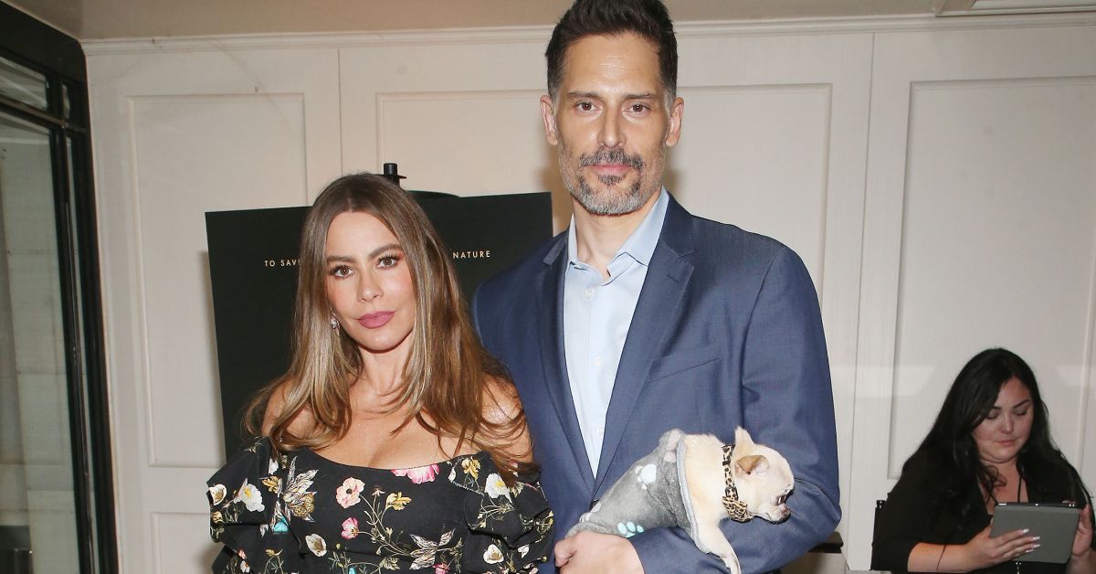 The internet had some strong feelings about Sofia Vergara's son at