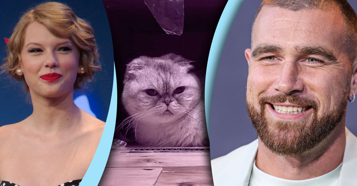 Travis Kelce Made A Lifestyle Adjustment To Deal With Taylor Swift's Cats