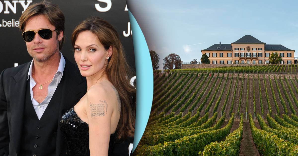 What Really Happened To The Winery That Brad Pitt And Angelina Jolie