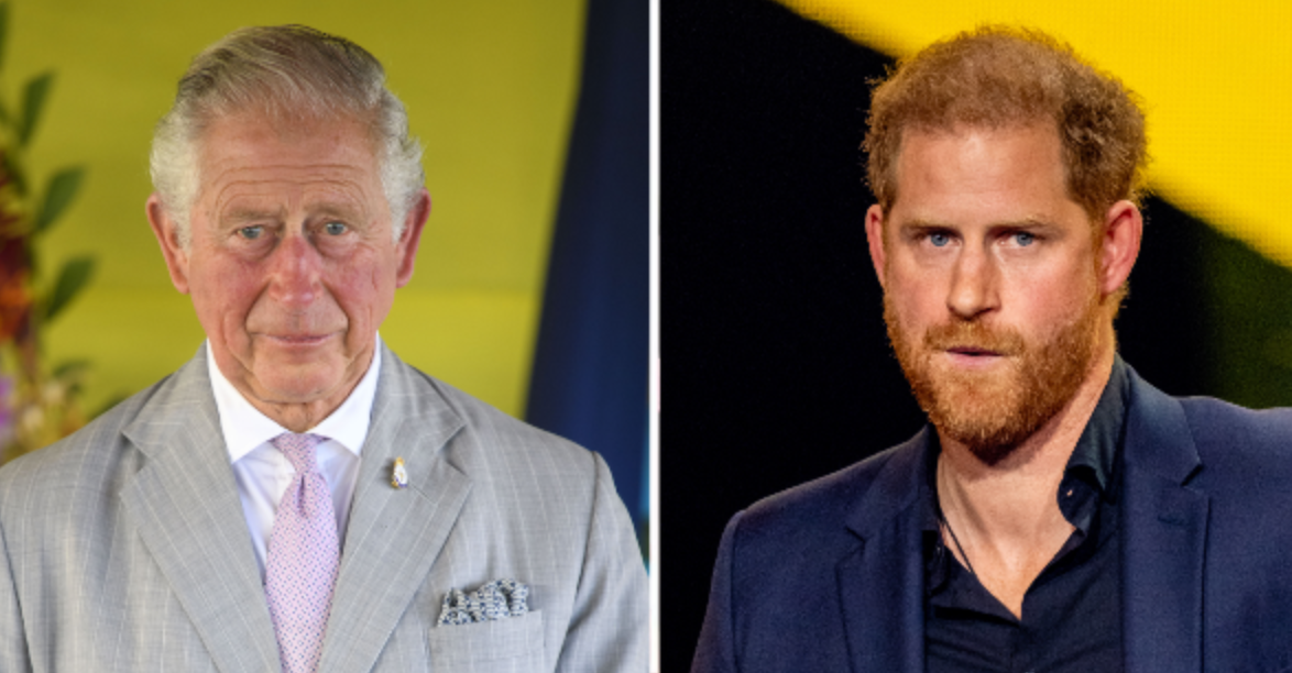 Prince Harry's Reaction Revealed After King Charles Announces Cancer ...