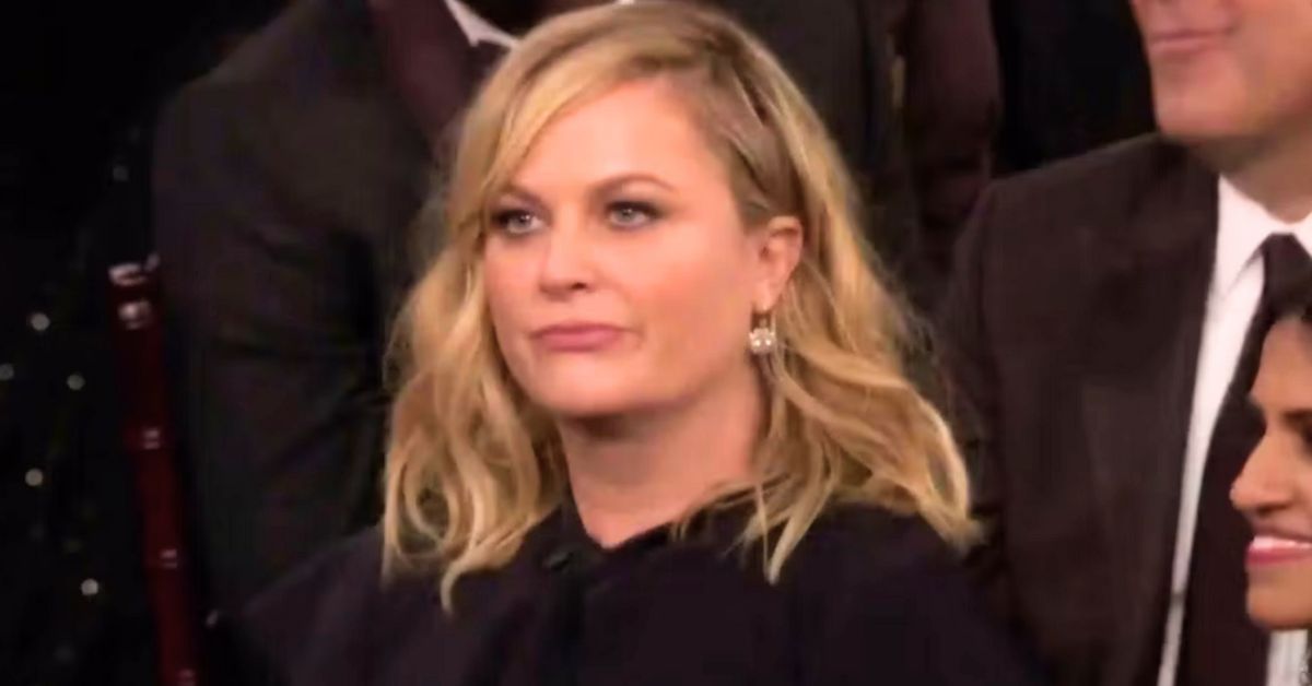 Fans Worried About Amy Poehler's "Angry" Rebuttal Against Seth Meyers 