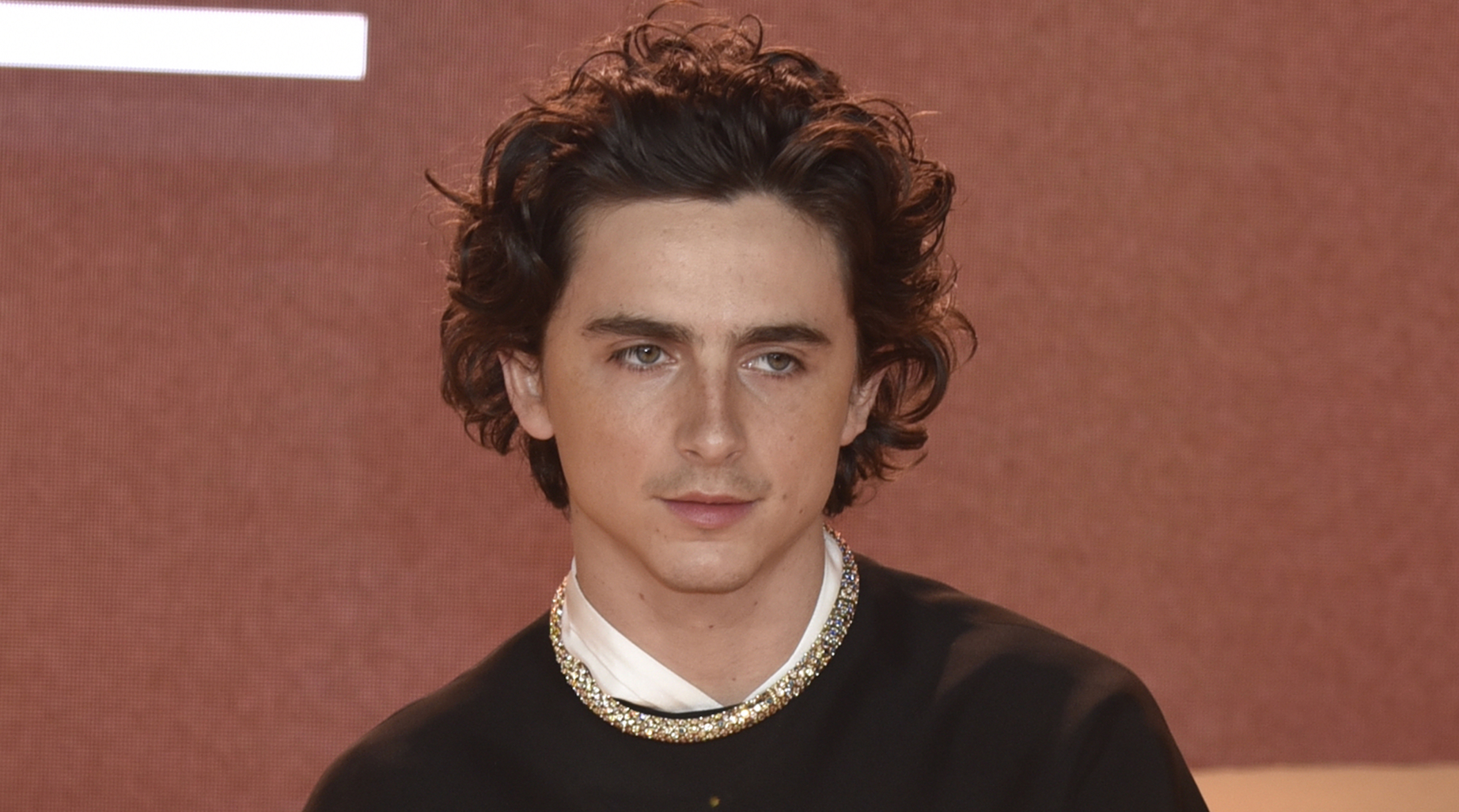 Timothee Chalamet 