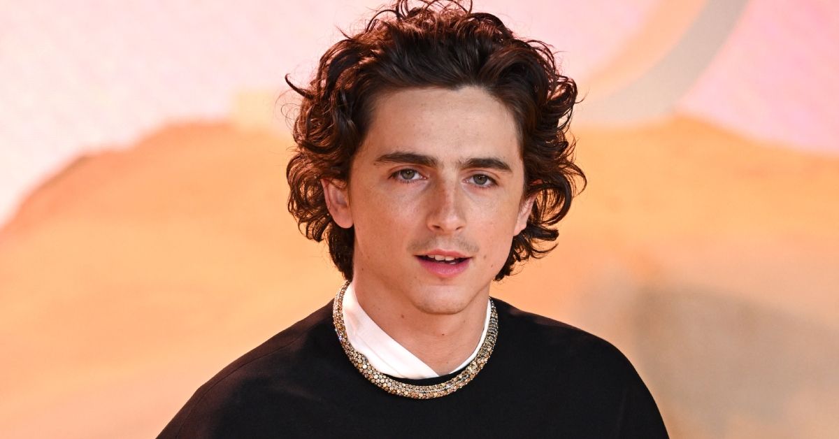 Timothée Chalamet poses at event